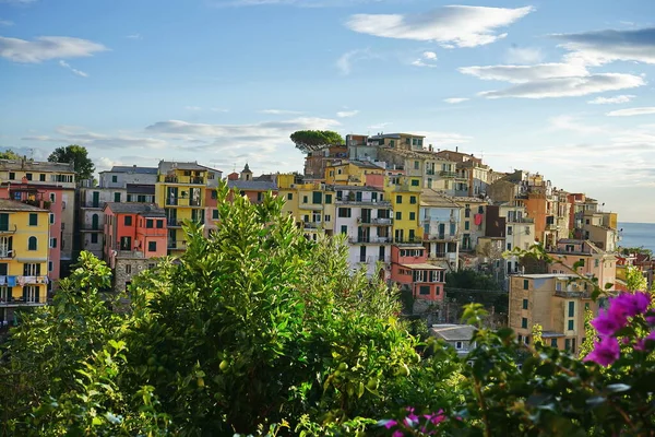 Pohled Obec Corniglia Cinque Terre Itálie — Stock fotografie