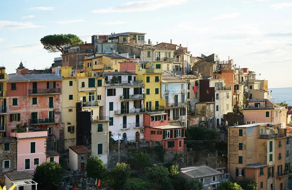 View Village Corniglia Cinque Terre Italy — Stock Photo, Image
