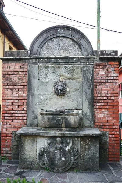 Alter Brunnen Nicola Fabrizi Straße Castelnuovo Garfagnana Toskana Italien — Stockfoto