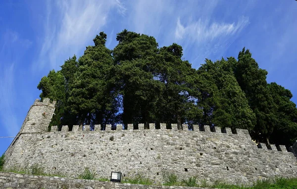 Zamek Miejscowości Molazzana Garfagnana Toskania Włochy — Zdjęcie stockowe