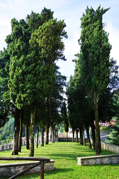 Rij Cipressen Het Kasteel Van Het Dorp Molazzana Garfagnana Toscane — Stockfoto