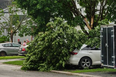Ottawa, Ontario, Kanada - 21 Mayıs 2022: Aşırı rüzgar ve yıldırımlı bir fırtınanın ardından Barrhaven 'da bir arabanın tepesine düştükleri bir ağaç dinlenme yerinden ayrılan dallar.