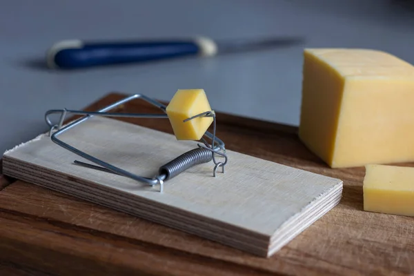 Una Trappola Topi Con Pezzo Formaggio Sotto Forma Esca Formaggio — Foto Stock