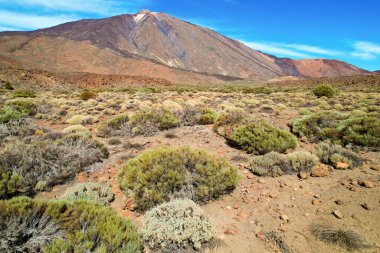 Teide Ulusal Parkı 'ndaki Teide Dağı manzarası, Tenerife, Kanarya Adaları, İspanya.