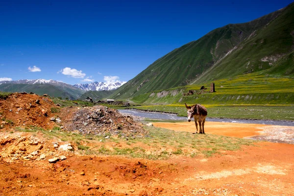 Truso Valley Georgien Schöne Landschaft Mit Roter Mineralwasserquelle — Stockfoto