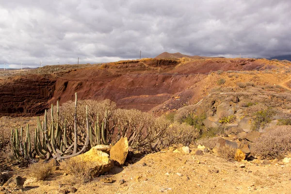 Playa de Las Teresitas. Santa Cruz de Tenerife, İspanya 'daki yapay, beyaz kumsal..