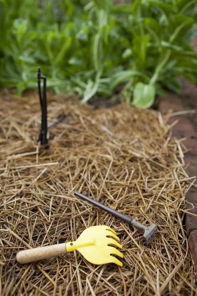 Cultivator forks and sprinkler — Stock Photo, Image