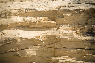 ahşap doku arkaplanı