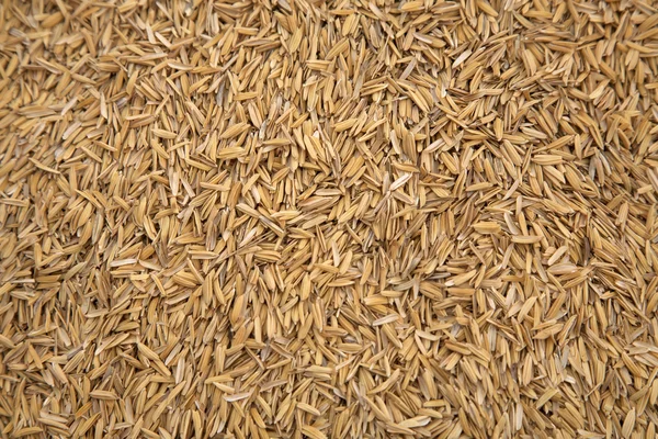 Текстура оболочки риса — стоковое фото