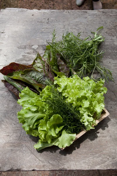 Sla en salade groenten — Stockfoto
