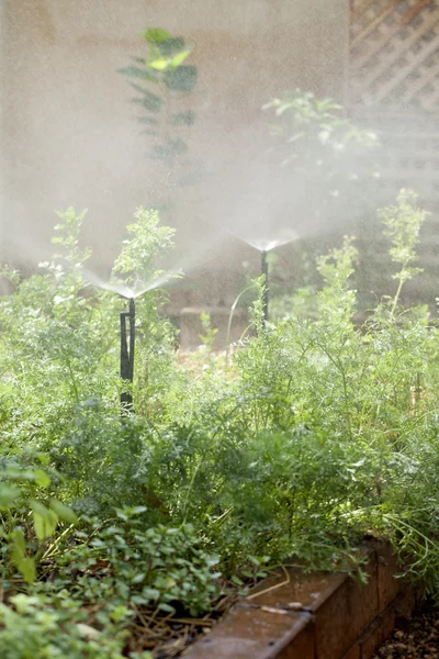 Strooi systeem in de tuin — Stockfoto