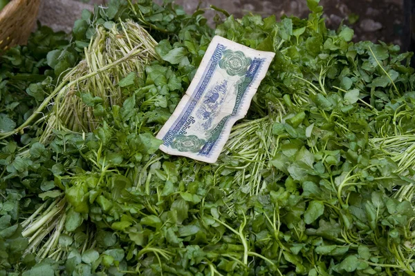 Laos dinheiro em cima de legumes — Fotografia de Stock