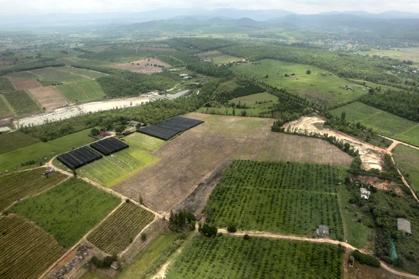 Campo de arroz y granja agrícola — Foto de Stock
