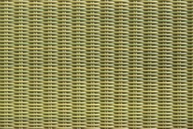Yeşil rattan palm arka plan
