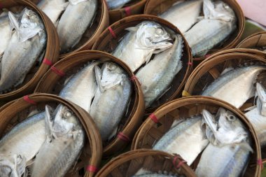 bambu sepet içinde akış uskumru