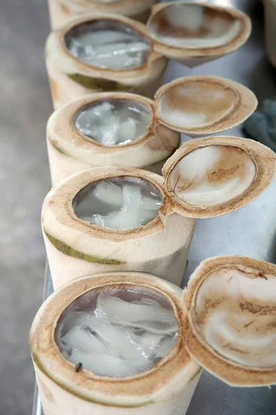 Sladké kokosové želé v kokosové skořápce — Stock fotografie