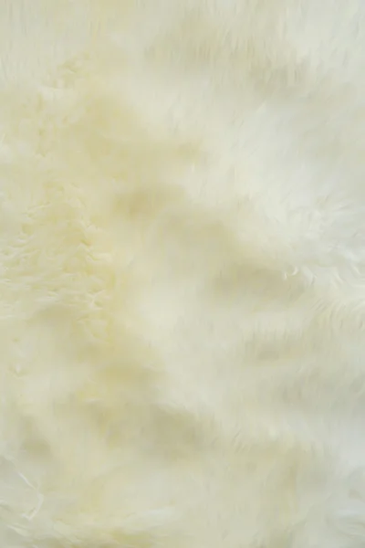 Cream-coloured fur carpet background — Stock Photo, Image