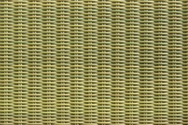 Gröna rotting palm bakgrund — Stockfoto