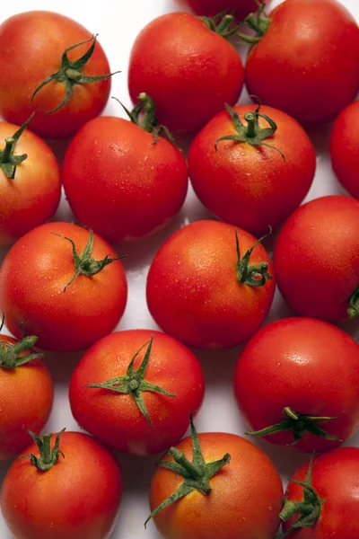 Tomaten achtergrond — Stockfoto