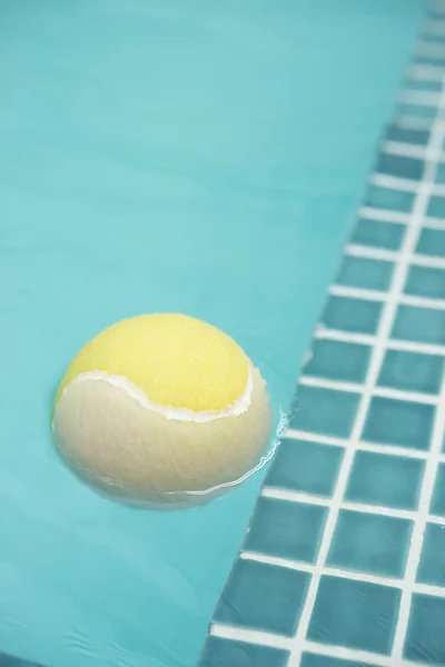 Pelota de tenis en la piscina del perro — Foto de Stock