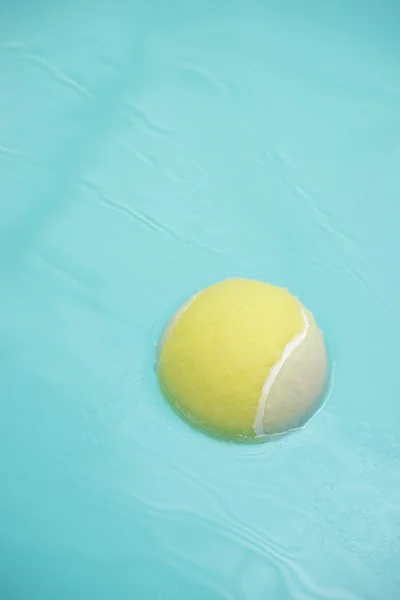 Pelota de tenis en la piscina del perro — Foto de Stock