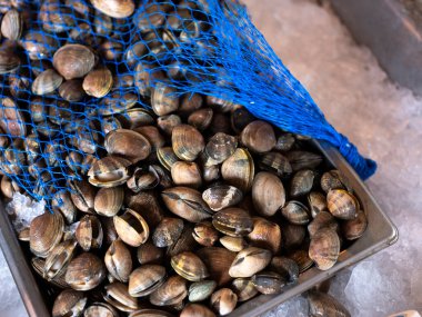 Balık pazarında satılacak taze deniz midyeleri