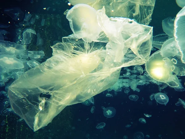 Saco Plástico Flutuante Subaquático Fazendo Perigo Para Animais Marinhos — Fotografia de Stock