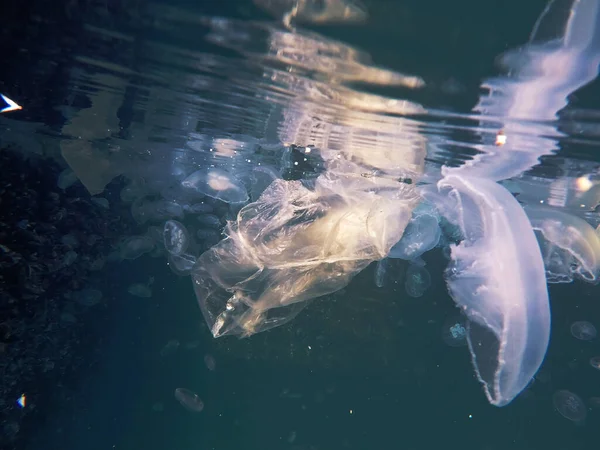 Plastic Zak Drijvend Onder Water Het Maken Van Gevaar Voor Stockfoto