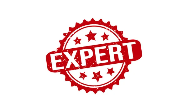 Expert Rubber Stempel Seal Vector — Stockvektor