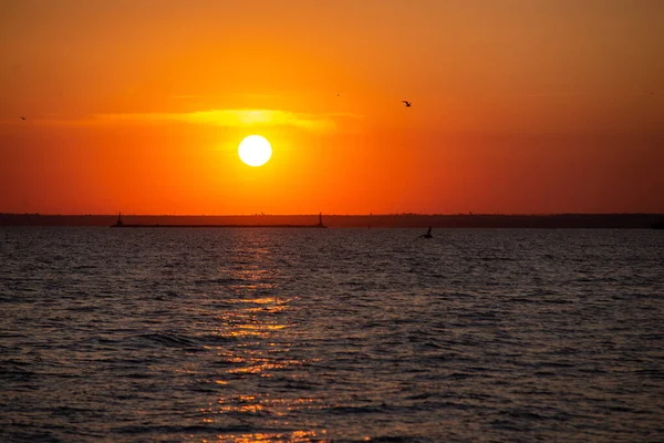 Beautiful sunset over the sea. Bird flying. Orange sky. Azov sea. — стоковое фото