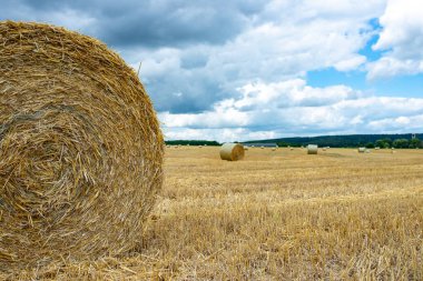 Mavi ve beyaz gökyüzü arka planına sahip bir tarlada saman balyaları