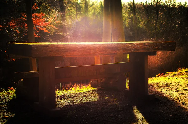 Table in the wood — Stock Photo, Image