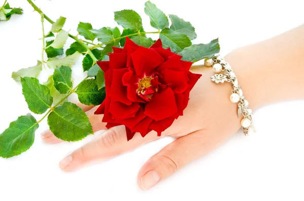 Woman and Rose — Stock Photo, Image