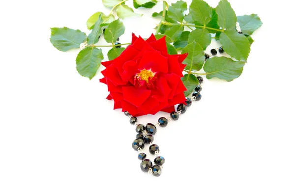 Rose ve kolye