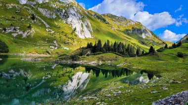 Ağaçlar ve dağlar bir dağ gölüne yansıyor.