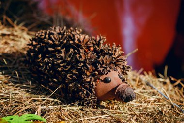 Geri dönüşüm: bir bahçe plastik şişe bir kirpi ve bir mantar yaptı. Kirpi koniler kendi elleri ile gelen.