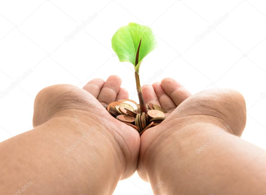Palms with a tree growing from pile of coins