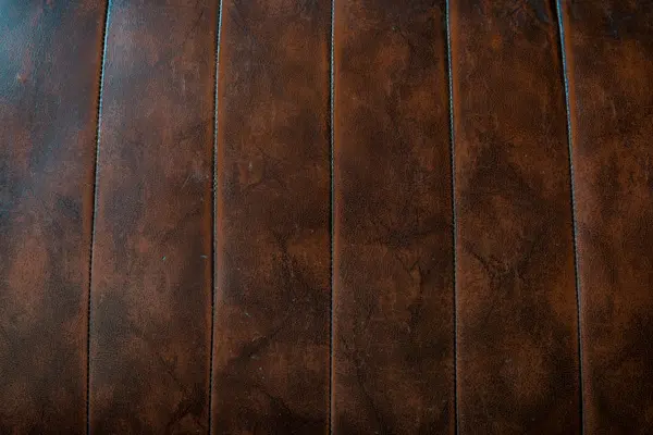 Old skin leather — Stock Photo, Image