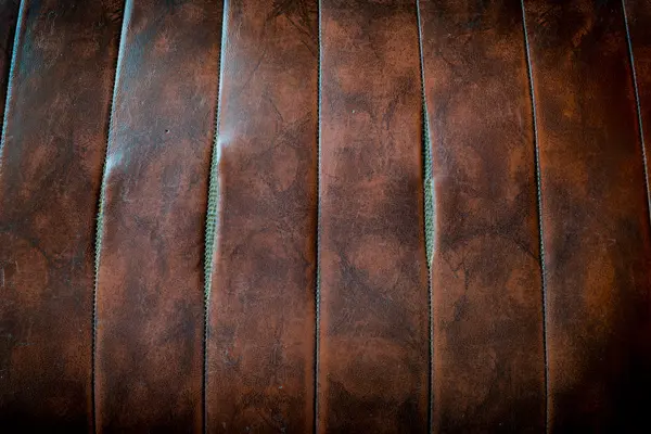 Old skin leather — Stock Photo, Image