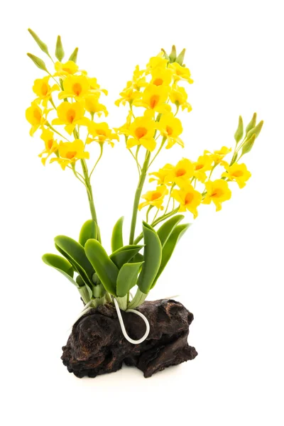 Lichte gele orchidee handgemaakte bloemen geïsoleerd op een witte pagina — Stockfoto