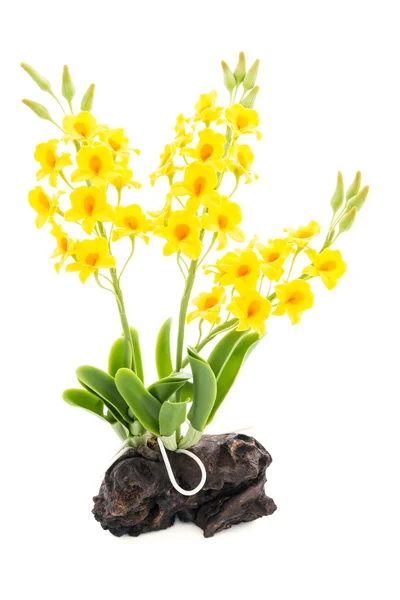Lichte gele orchidee handgemaakte bloemen geïsoleerd op een witte pagina — Stockfoto
