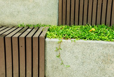 yeşil çim arka plan ile ahşap