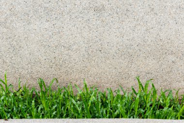 eski duvar ve yeşil çim arka plan