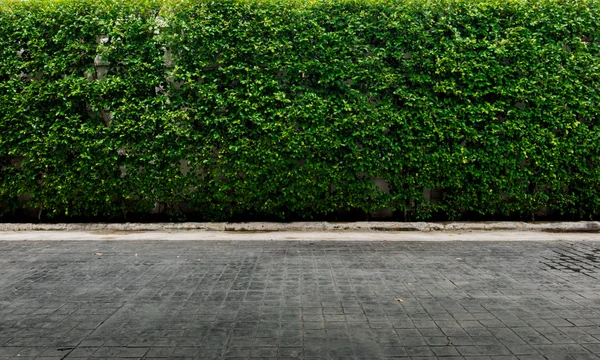 Dekorativa trädgård på en tegelsten — Stockfoto