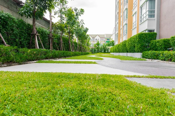 Garden landscape — Stock Photo, Image