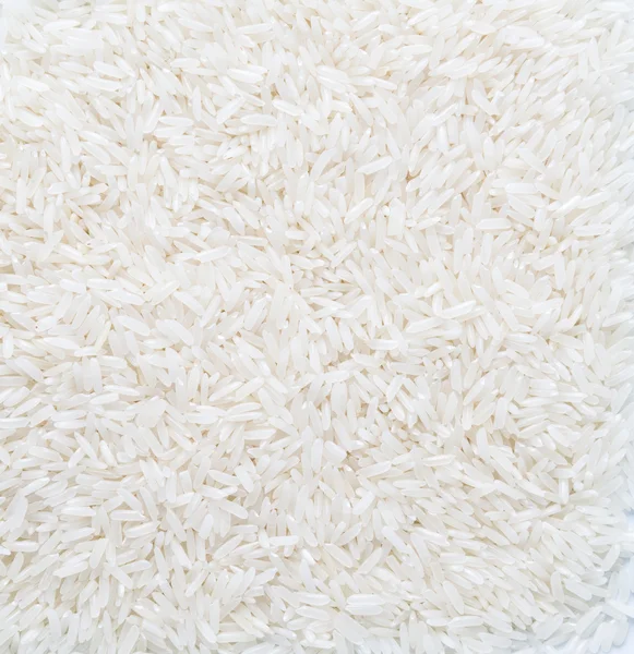 rice grain (jasmine rice)