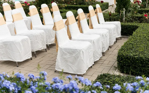 Svatební židle v řadě zdobené zlatou stuhou — Stock fotografie