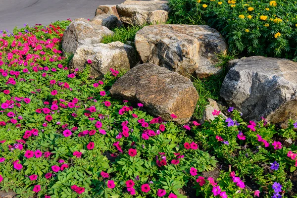 Ganska välskötta blomma trädgård — Stockfoto