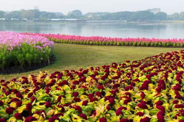 Çiçek Bahçesi arka plan