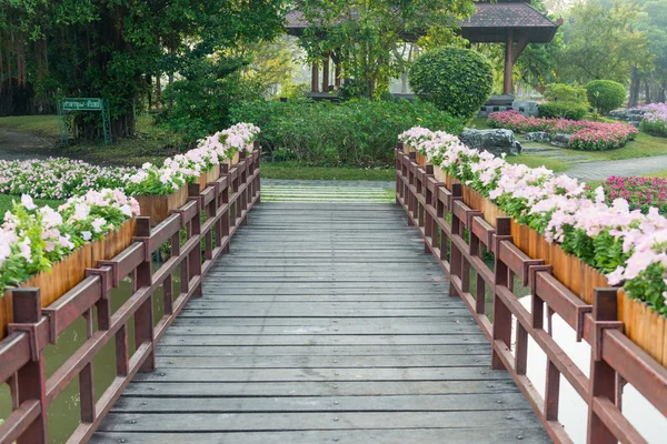 Most drewna i kwiat — Zdjęcie stockowe